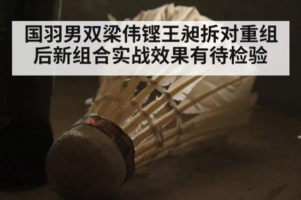 国羽男双梁伟铿王昶拆对重组后新组合实战效果有待检验